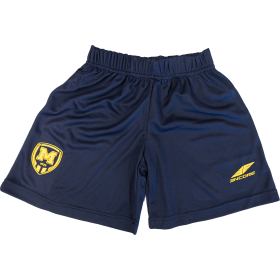 Blue training shorts
