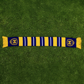 Metallist 1925 Hoops blue scarf