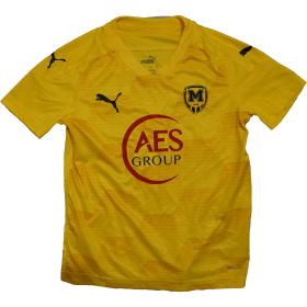 Children's t-shirt PUMA Playershirt Yellow